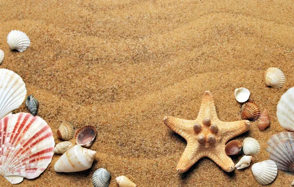 Песок, море, Природа, ракушки, морская звезда, Морской