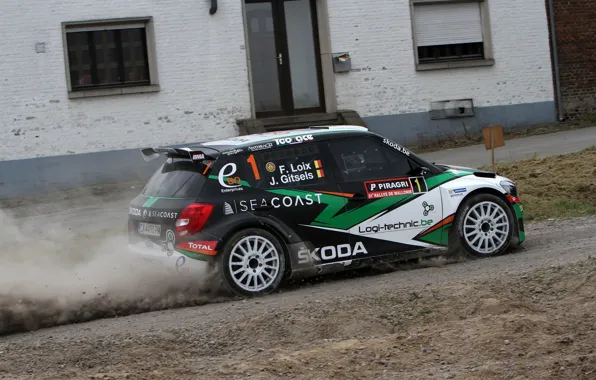 Пыль, Дом, Rally, Skoda, Fabia, Loix