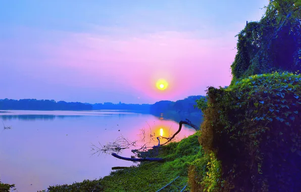 Sun, Water, Sunrise, Dawn, Morning, Lake, Trees, Reflection
