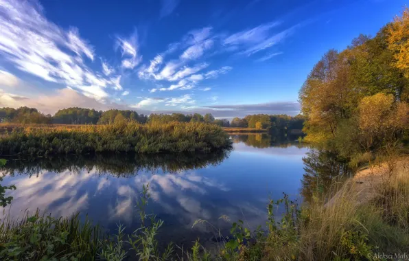 Картинка осень, небо, деревья, озеро, красота, Aleksei Malygin