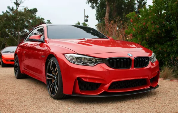 BMW, 2014, m4