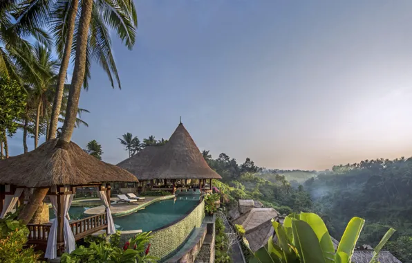Пальмы, отдых, бассейн, Бали, отель, бунгало, Viceroy Bali
