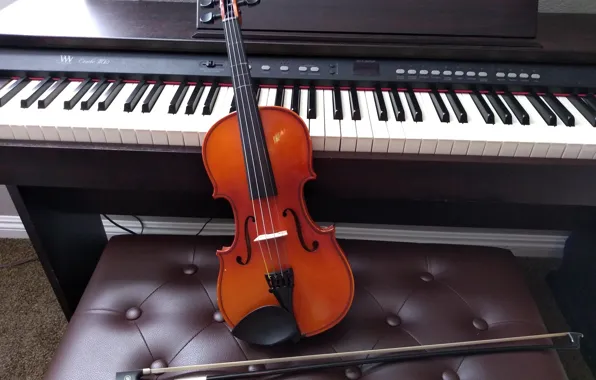 Piano, Violin, Instrument, David Lusvardi
