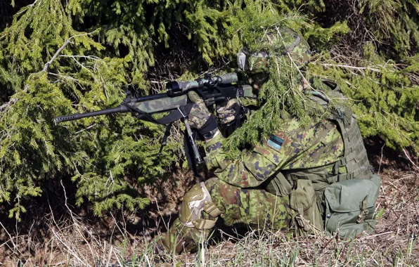 Оружие, солдат, Estonian Army