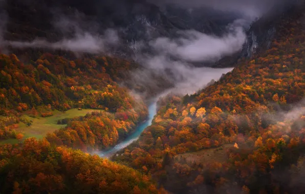 Картинка осень, деревья, горы, река, краски, леса, тума