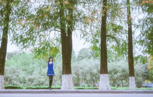 Beautiful, Asian, Model, Street, Woman, Road, Trees, Pretty