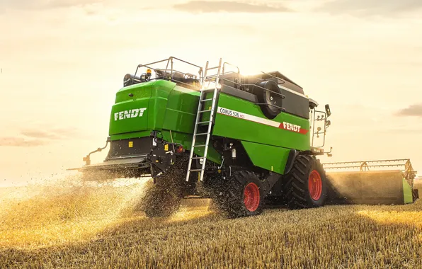 Поле, пыль, комбайн, уборка урожая, Fendt