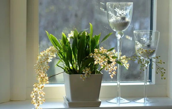 Картинка цветы, окно, подоконник, орхидеи, подсвечники, кашпо