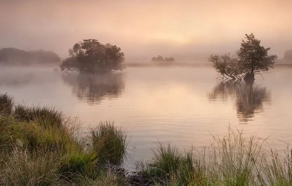 Туман, река, united kingdom, richmond park, surrey