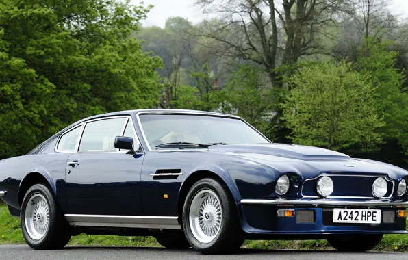 Aston Martin, Vantage, Синий, Классика, Астон Мартин, 1977, Вантаж