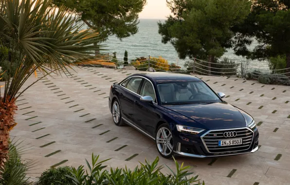 Синий, Audi, растительность, стоянка, седан, Audi A8, Audi S8, 2020