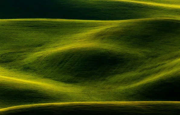 Картинка поле, природа, зеленый, фон