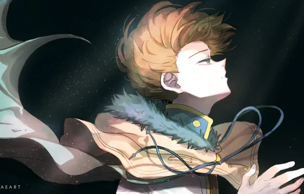 Свет, парень, Black Clover, Langris Vaude