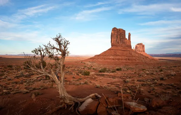 Картинка United States, Arizona, Oljato-Monument Valley