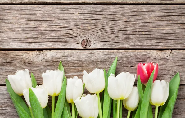 Картинка цветы, букет, тюльпаны, white, wood, flowers, tulips, bouquet