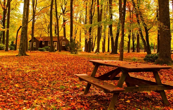 Картинка дорога, осень, лес, листья, деревья, скамейка, природа, дом