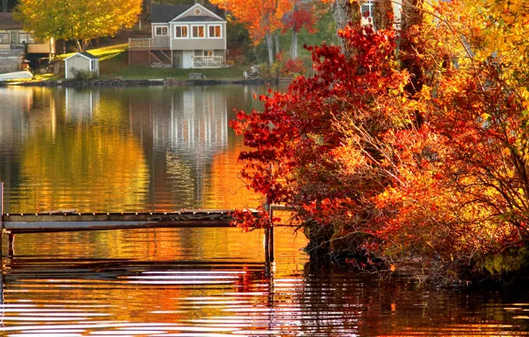 Картинка осень, лес, деревья, пейзаж, вилла, дома, Природа, house