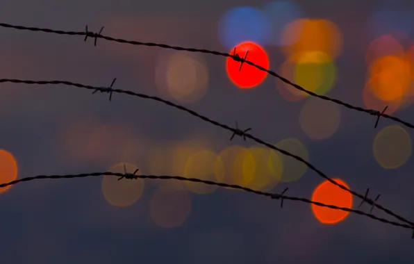 Macro, wire, globes