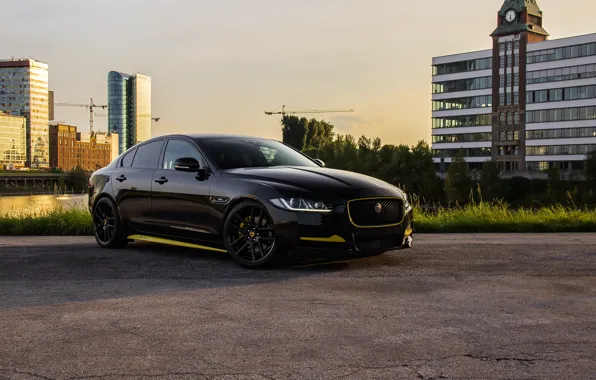 Jaguar, Black, Town, Arden