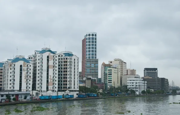 Город, река, манила