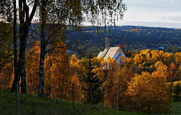 Осень, лес, деревья, горы, ветки, вид, даль, склон
