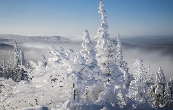Зима, иней, лес, небо, свет, снег, деревья, горы