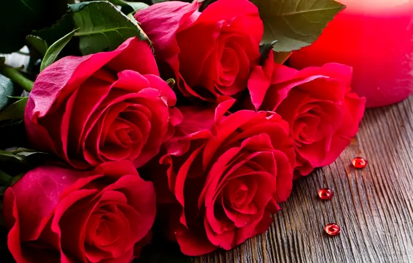 Розы, букет, красные, крупным планом