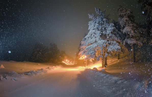 Зима, дорога, снег, ночь, елки, освещение, фонари, снегопад