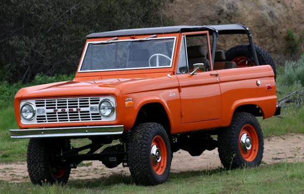 Картинка Ford, внедорожник, 1966, Bronco, 2019, ICON Old School BR