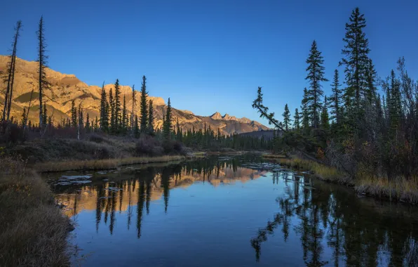 Картинка лес, озеро, отражение, Канада, Jasper National Park, Glory Hole