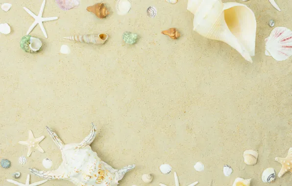 Картинка песок, пляж, лето, ракушки, summer, beach, sea, sand