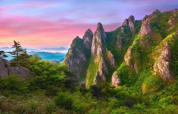 Картинка небо, цветы, горы, туман, камни, скалы, долина, дервья