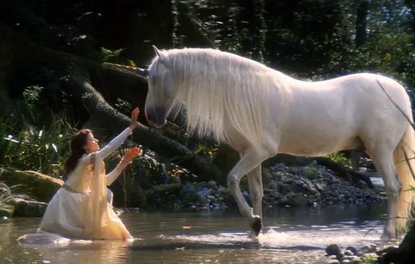 Картинка fantasy, art, legend, unicorns