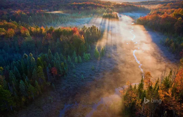 Картинка осень, лес, лучи, деревья, закат, река, США, Вермонт