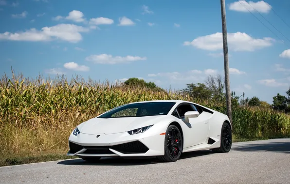 Картинка Lamborghini, White, Huracan, Cornfield