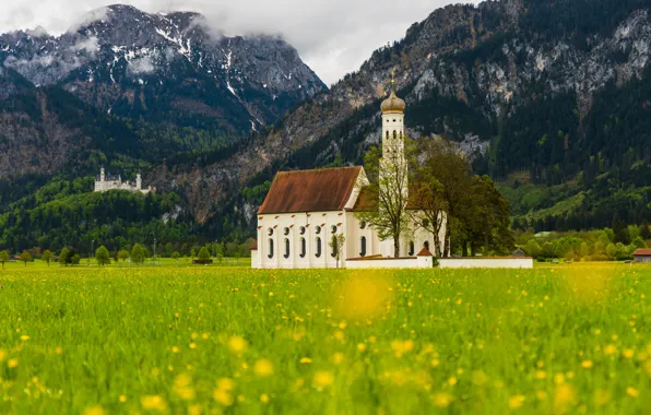 Картинка зелень, поле, лес, деревья, пейзаж, цветы, горы, желтый
