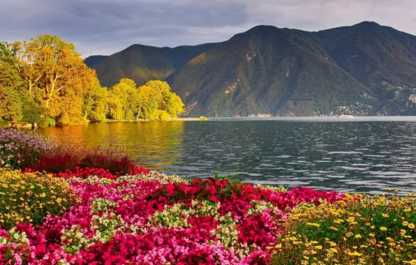 Пейзаж, цветы, горы, природа, озеро, фото