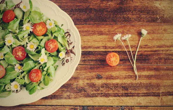 Food, feed, salad