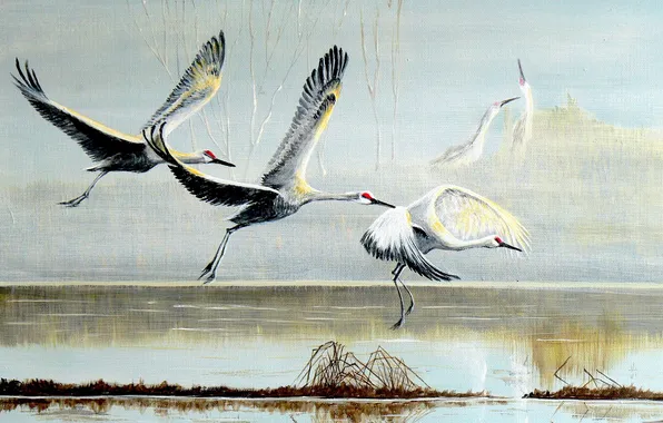 Картинка птицы, картина, аисты
