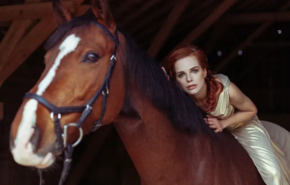 Взгляд, девушка, конь, лошадь, рыжая, рыжеволосая