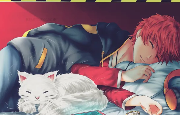 Кошка, кот, парень, 707, Mystic Messenger