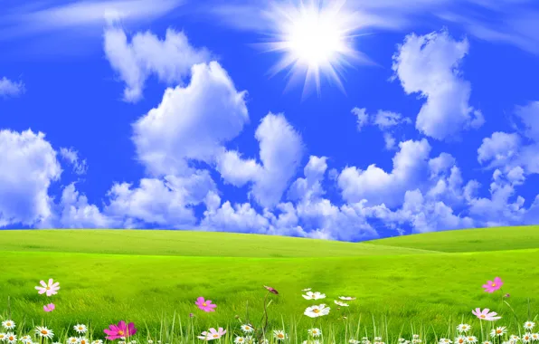 Небо, трава, солнце, облака, лучи, цветы, коллаж, луг