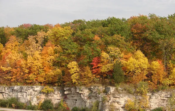 Картинка деревья, скалы, colors, Осень, trees, autumn, fall