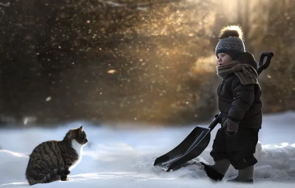Кошка, снег, лопата, ребёнок