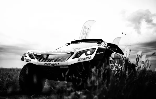 Спорт, Скорость, Гонка, Грязь, Peugeot, Фары, Red Bull, Rally