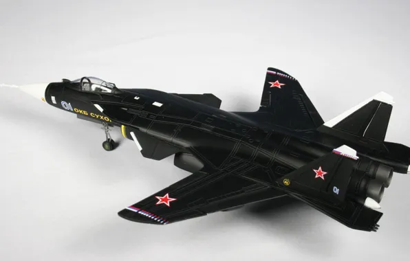 Картинка Су-47, ОКБ Сухого, Su-47, БЕРКУТ