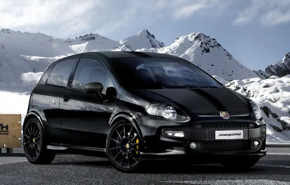 Abarth, punto, scorpione