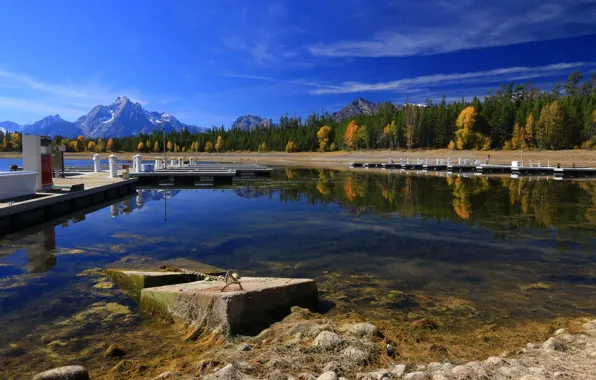 Осень, деревья, горы, природа, озеро, Вайоминг, США, Grand Teton National Park
