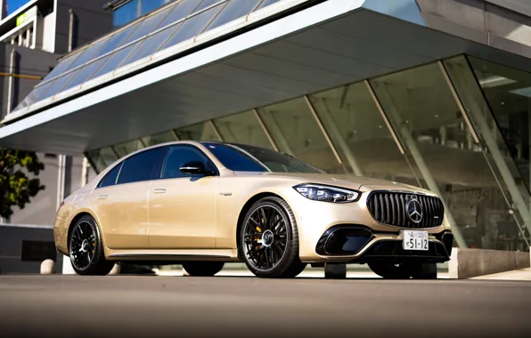 Mercedes-Benz, Mercedes, AMG, luxury, S-Klasse, S-Class, Mercedes-AMG, Mercedes-AMG S 63 E Performance