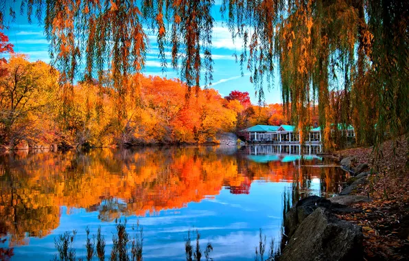 Картинка осень, деревья, ветки, отражение, камни, листва, желтые, речка